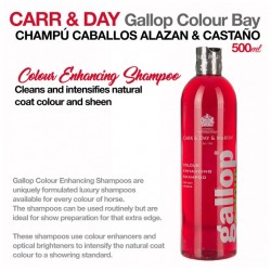 CARR & DAY CHAMPÚ CABALLOS ALAZÁN & CASTAÑO 500ml