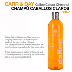 CARR & DAY CHAMPÚ CABALLOS CLAROS 500ml