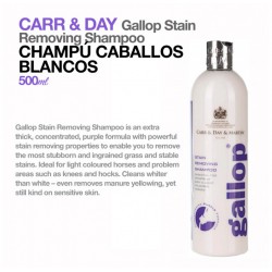 CARR & DAY CHAMPÚ CABALLOS...