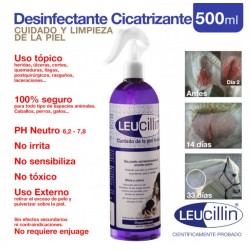 ZALDI DESINFECTANTE CICATRIZANTE LEUCILLIN