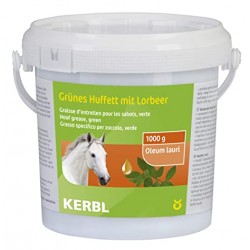 GRASA PARA CASCOS