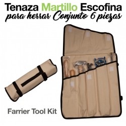 TENAZA MARTILLO ESCOFINA...