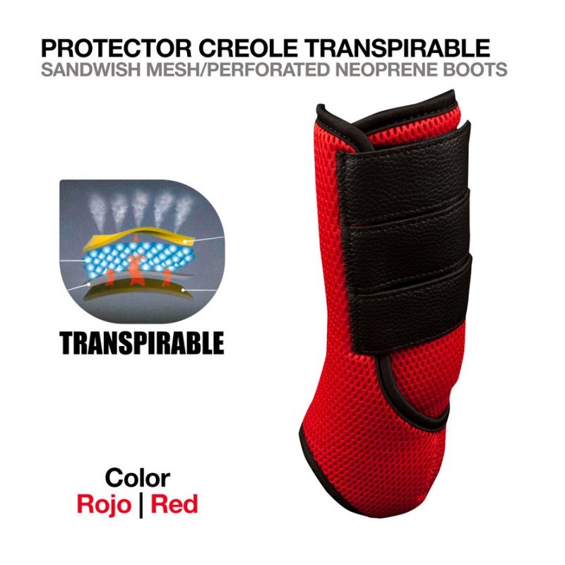 PROTECTOR CREOLE TRANSPIRABLE