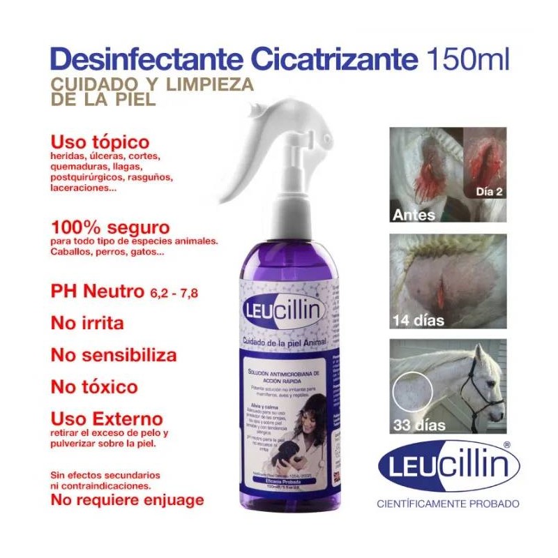 ZALDI DESINFECTANTE CICATRIZANTE LEUCILLIN