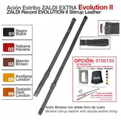 ZALDI RECORD EVOLUTION II...
