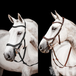 CABEZADA INGLESA HORSEWARE...