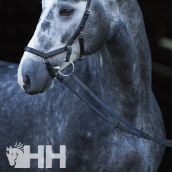 RIENDAS HORSEWARE MICKLEM...