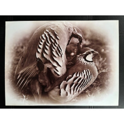 copy of LÁMINA DECORATIVA...