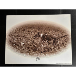 copy of LÁMINA DECORATIVA...