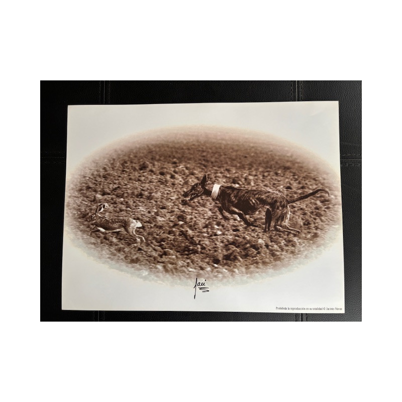 LÁMINA DECORATIVA PARA ENMARCAR 07