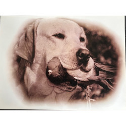 LÁMINA DECORATIVA PARA...