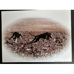 LÁMINA DECORATIVA PARA...