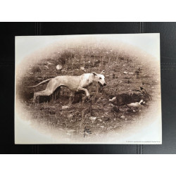 copy of LÁMINA DECORATIVA...