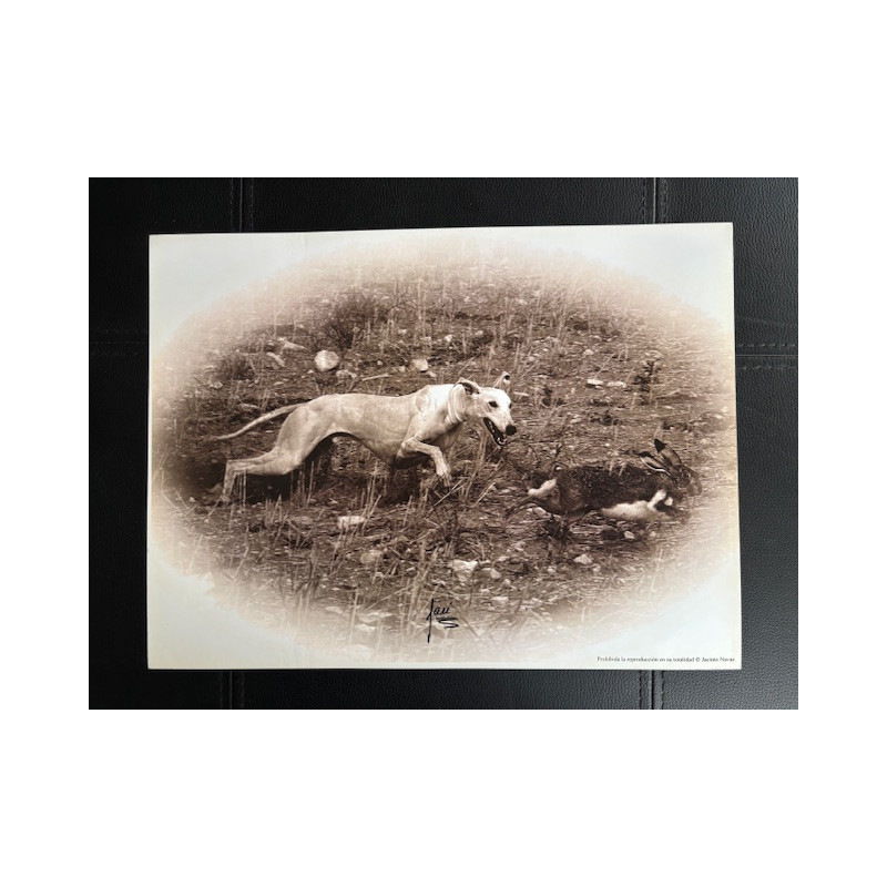 LÁMINA DECORATIVA PARA ENMARCAR 10