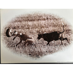 LÁMINA DECORATIVA PARA ENMARCAR 11