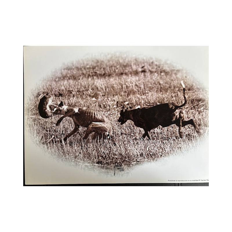 LÁMINA DECORATIVA PARA ENMARCAR 11