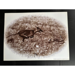 copy of LÁMINA DECORATIVA...