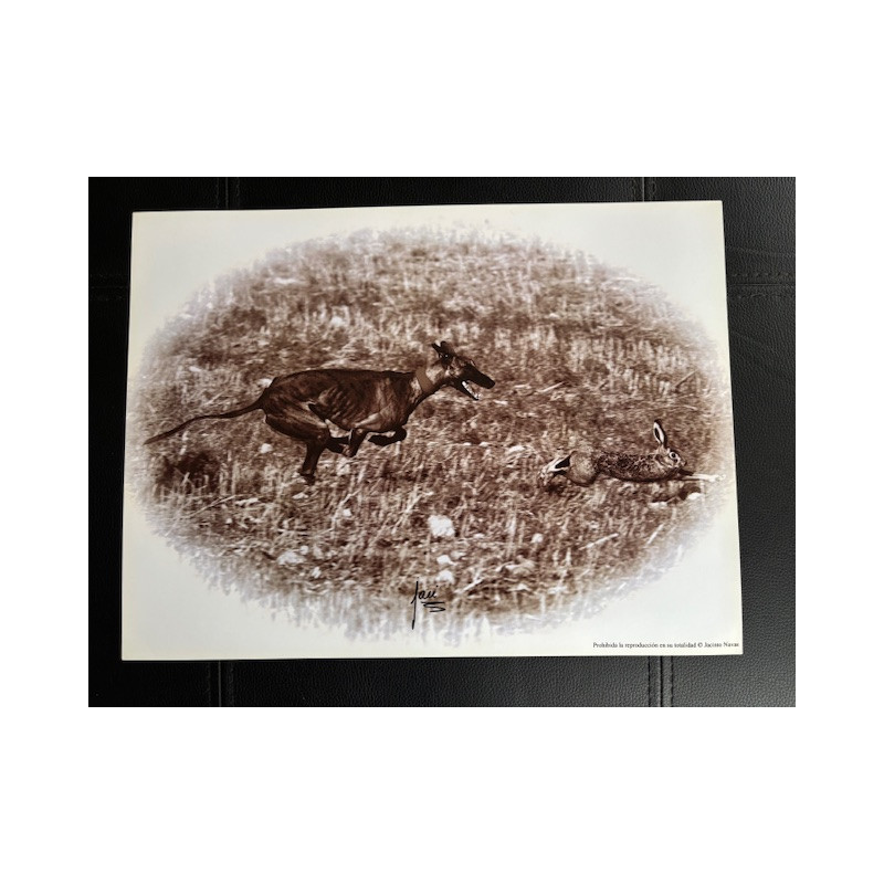 LÁMINA DECORATIVA PARA ENMARCAR 12