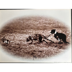 copy of LÁMINA DECORATIVA...