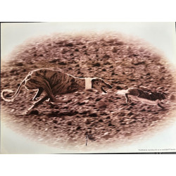 LÁMINA DECORATIVA PARA ENMARCAR 14