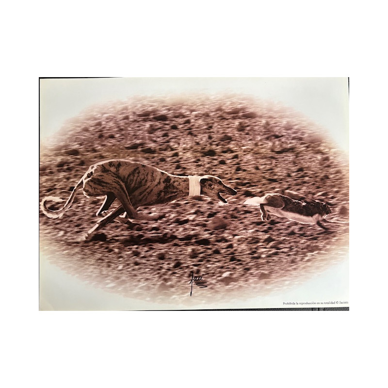 LÁMINA DECORATIVA PARA ENMARCAR 14