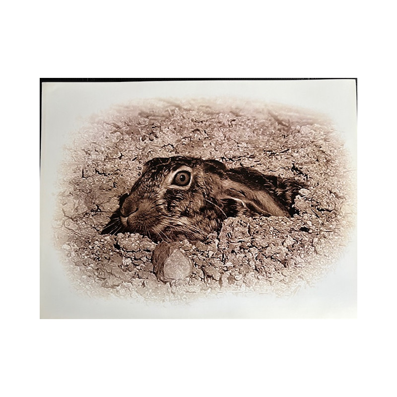 LÁMINA DECORATIVA PARA ENMARCAR 15