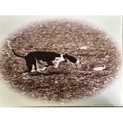 LÁMINA DECORATIVA PARA ENMARCAR 16