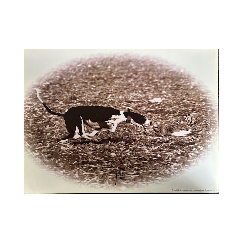 LÁMINA DECORATIVA PARA ENMARCAR 16