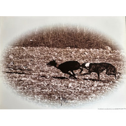 copy of LÁMINA DECORATIVA...