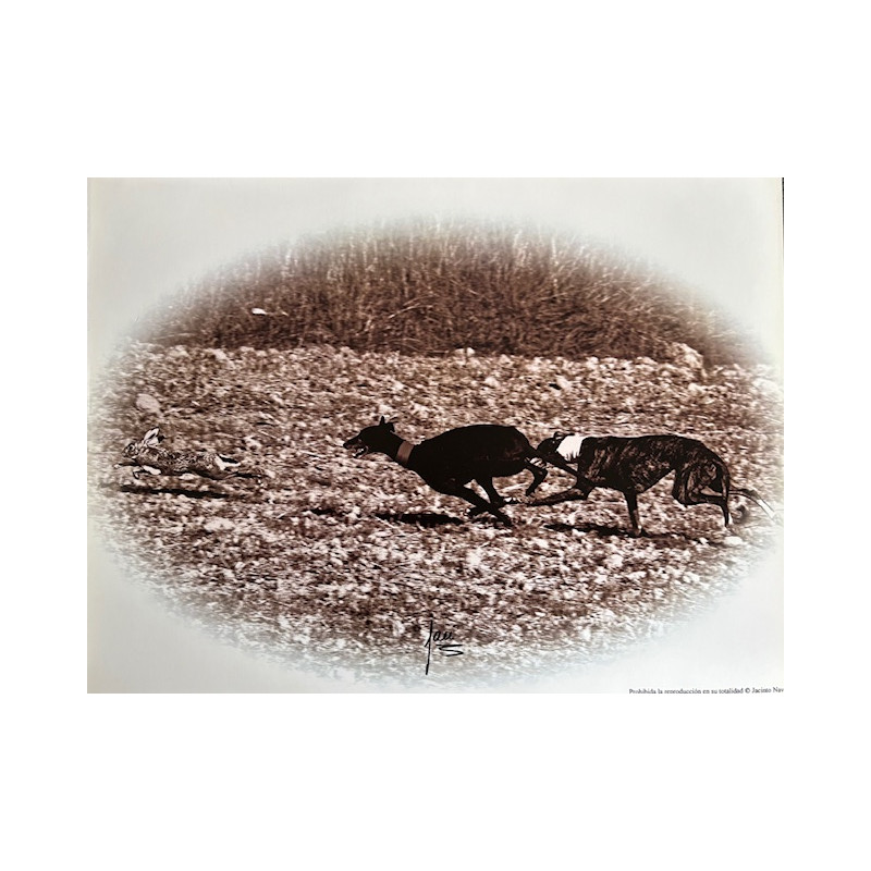 LÁMINA DECORATIVA PARA ENMARCAR 17