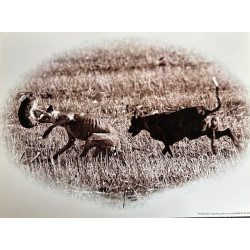 copy of LÁMINA DECORATIVA...