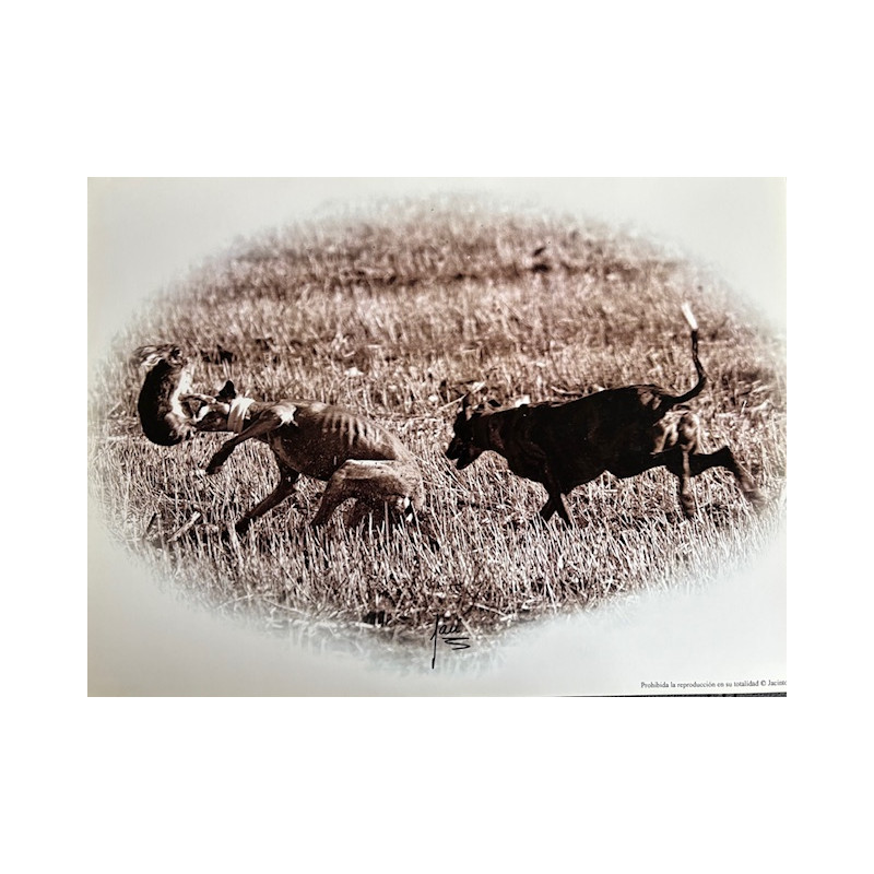 LÁMINA DECORATIVA PARA ENMARCAR 18