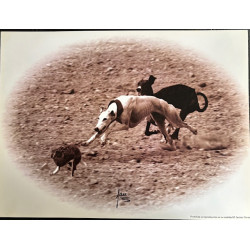 LÁMINA DECORATIVA PARA...