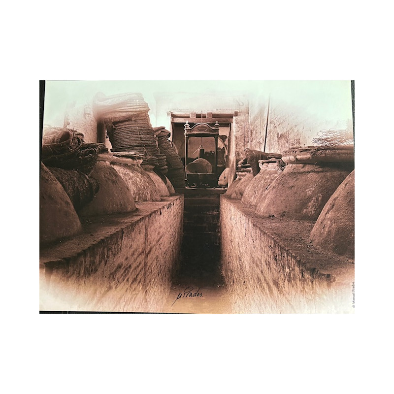 LÁMINA DECORATIVA PARA ENMARCAR 20