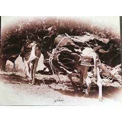 copy of LÁMINA DECORATIVA...