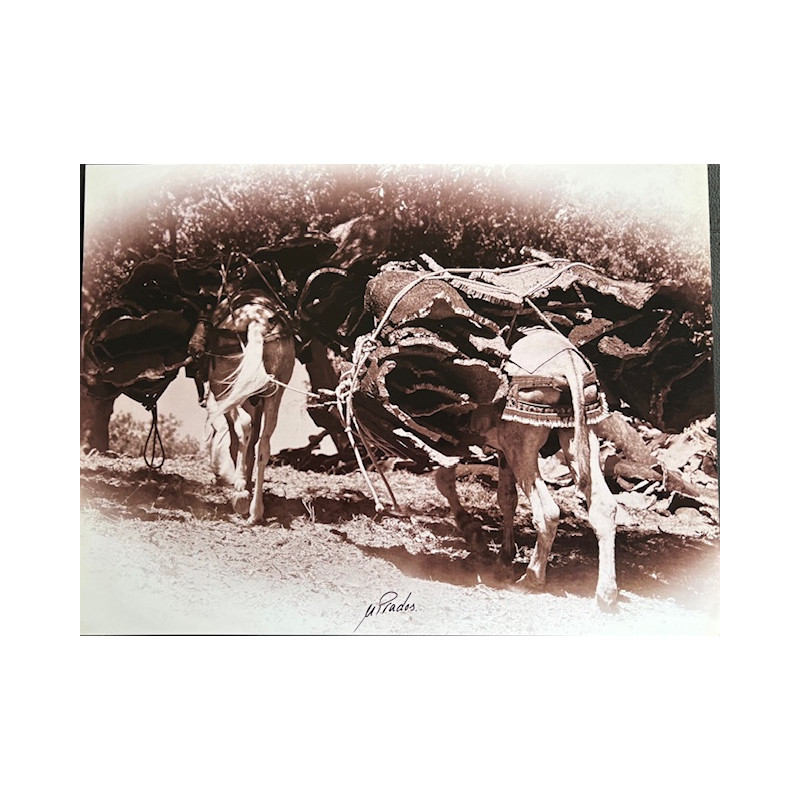 LÁMINA DECORATIVA PARA ENMARCAR 21