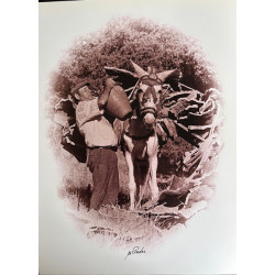 LÁMINA DECORATIVA PARA ENMARCAR 22