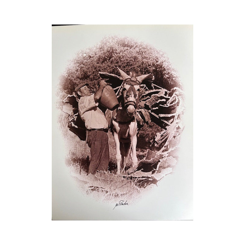 LÁMINA DECORATIVA PARA ENMARCAR 22