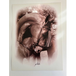 copy of LÁMINA DECORATIVA...