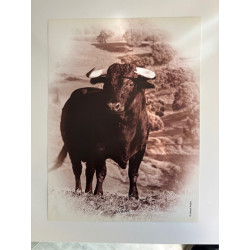 LÁMINA DECORATIVA PARA ENMARCAR 25