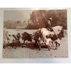 copy of LÁMINA DECORATIVA...