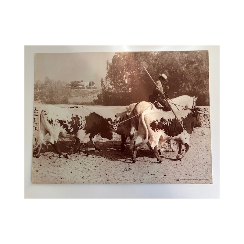 LÁMINA DECORATIVA PARA ENMARCAR 26