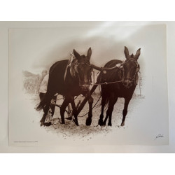 copy of LÁMINA DECORATIVA...