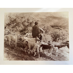 copy of LÁMINA DECORATIVA...