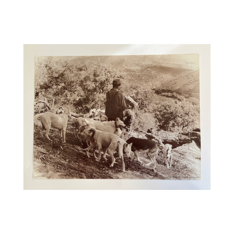 LÁMINA DECORATIVA PARA ENMARCAR 29