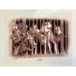 copy of LÁMINA DECORATIVA...