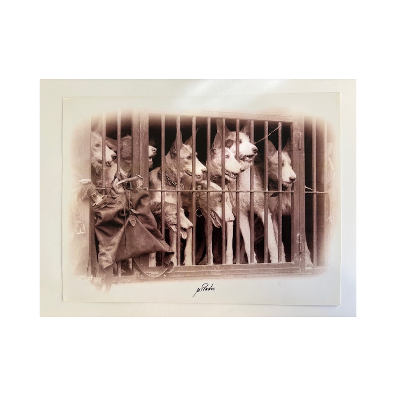 LÁMINA DECORATIVA PARA ENMARCAR 30