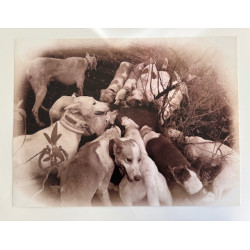 copy of LÁMINA DECORATIVA...