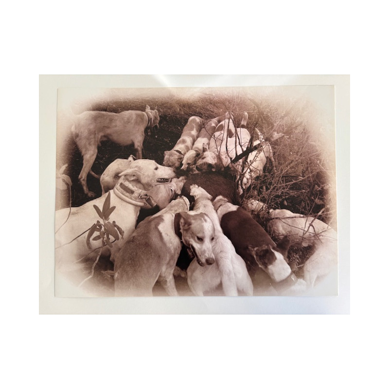 LÁMINA DECORATIVA PARA ENMARCAR 31