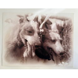 copy of LÁMINA DECORATIVA...